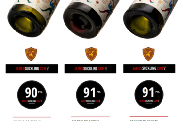 “葡萄酒大师 James Suckling颁发 Camino de Cabras 葡萄酒大奖。”