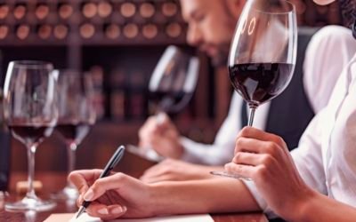 Being knowledgeable about wines is not essential, but it is indeed very  interesting