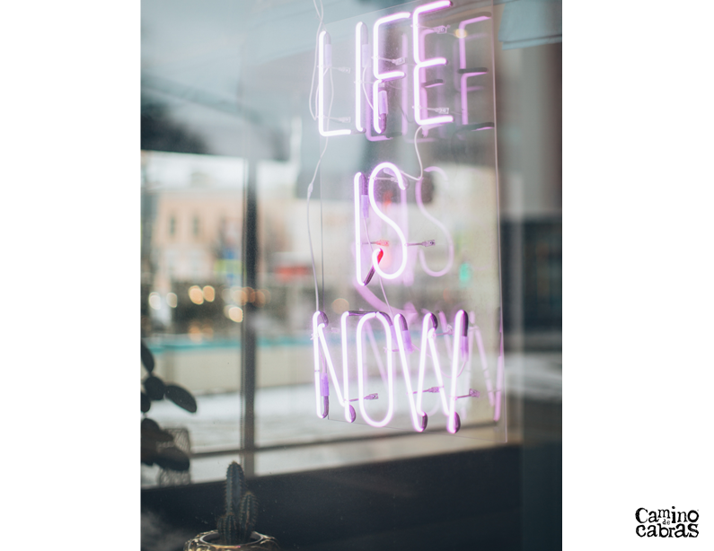 Cómo aumentar tu inmunidad y conseguir una salud de hierro