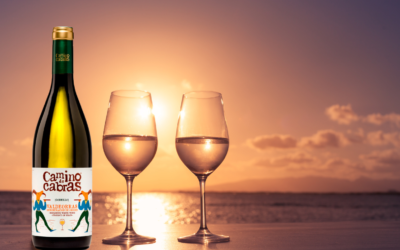 Consejos para beber vino en verano